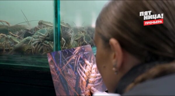 Молодые ножи Новая кровь 2 сезон 2 выпуск 25.02.26 смотреть онлайн